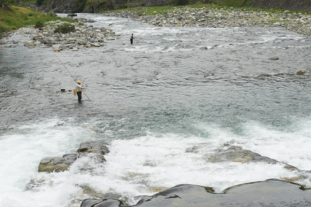 スバル カートピア8月号で紹介している郡上鮎　釣りが愉しめる吉田川の写真