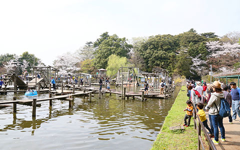 千葉県野田市の清水公園フィールドアスレチック　水上コース
