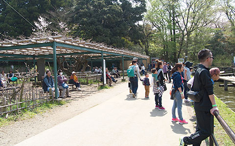 千葉県野田市の清水公園フィールドアスレチック　見学スペース