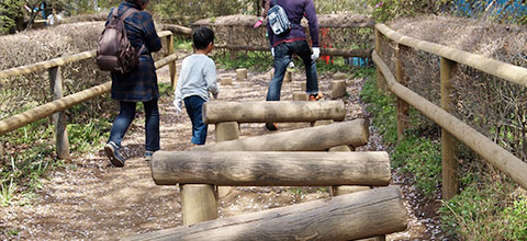 千葉県野田市の清水公園フィールドアスレチック　丸太の上を歩く