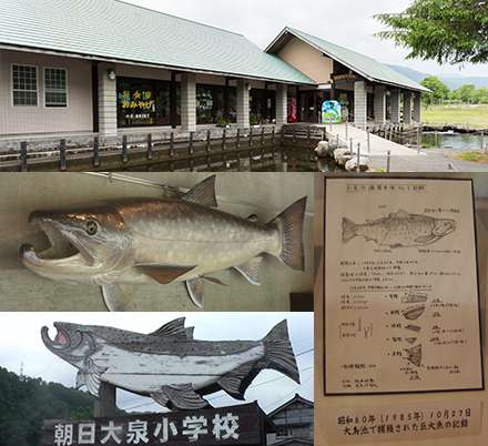 カートピア7月号で訪れたタキタロウ館。館内には捕獲されたタキタロウと思しき魚の記録やレプリカが展示されています。