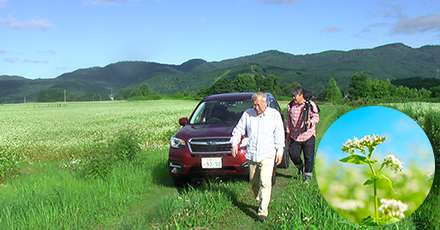 カートピア9月号の取材で訪れた、北海道雨竜郡幌加内町。青い夏の空をバックに白い可憐なそばの花が咲いています。幌加内町のそば畑に駐め