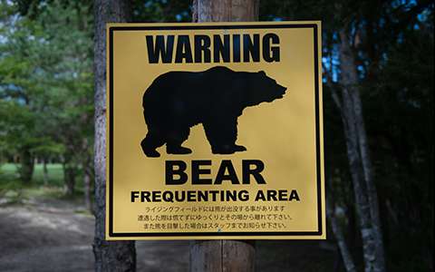 クマ注意の看板