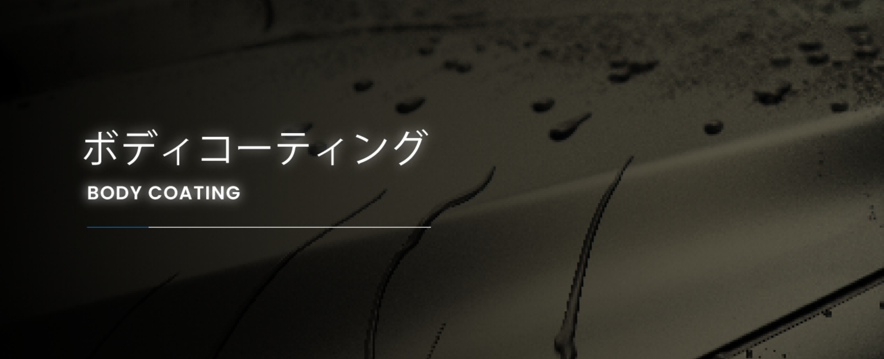 ボディコーティング