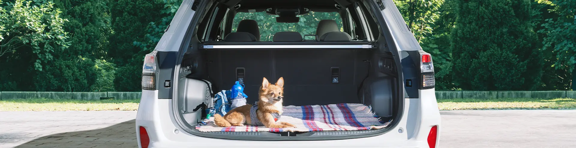 愛犬とお出かけするならSUBARU Footer