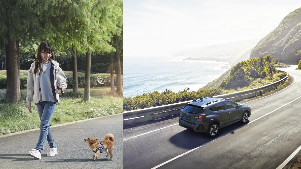 SUBARUで特別な10daysを