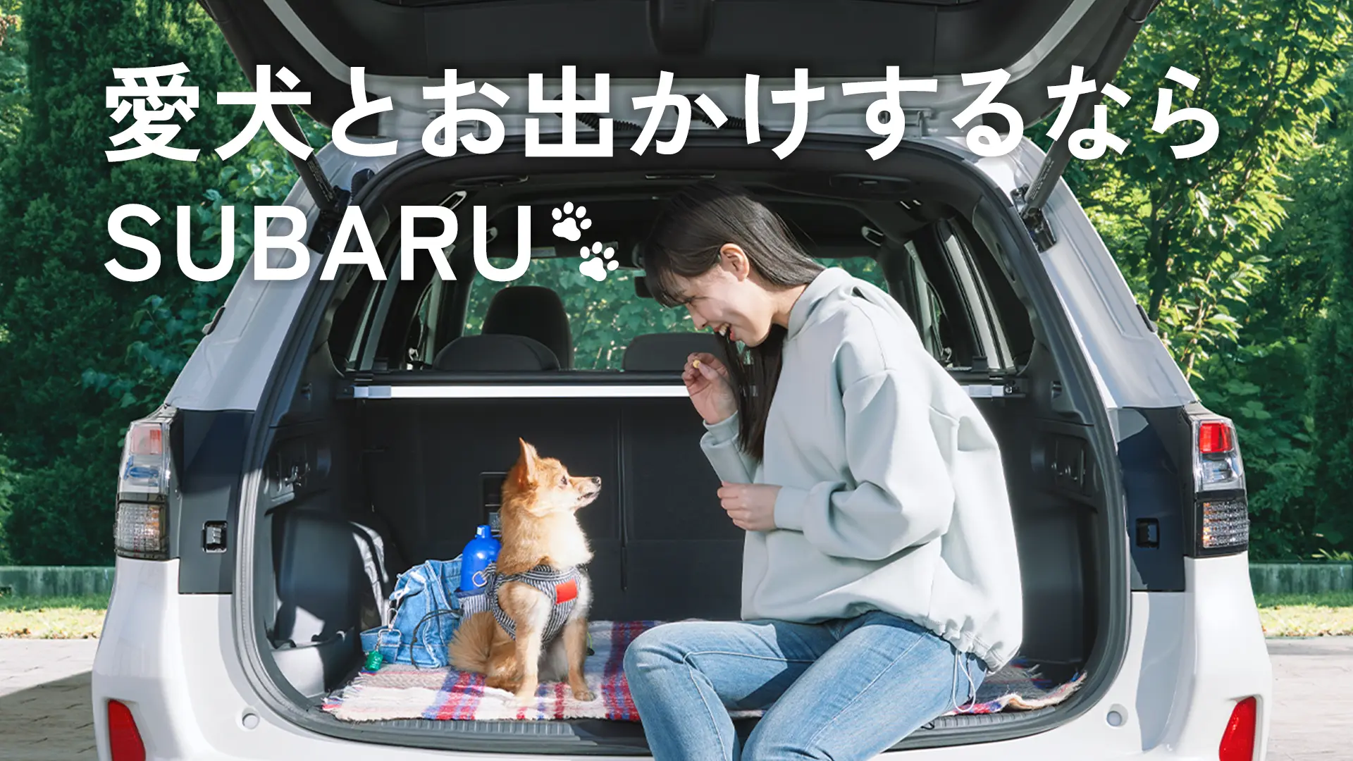 愛犬とおでかけするならSUBARU