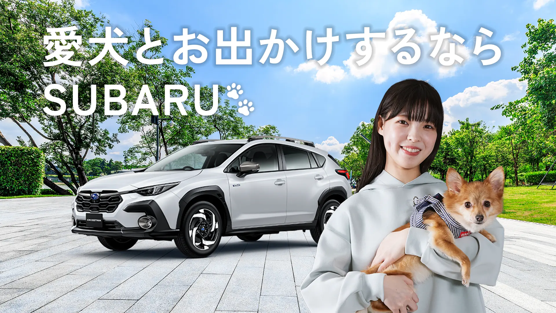 愛犬とおでかけするならSUBARU