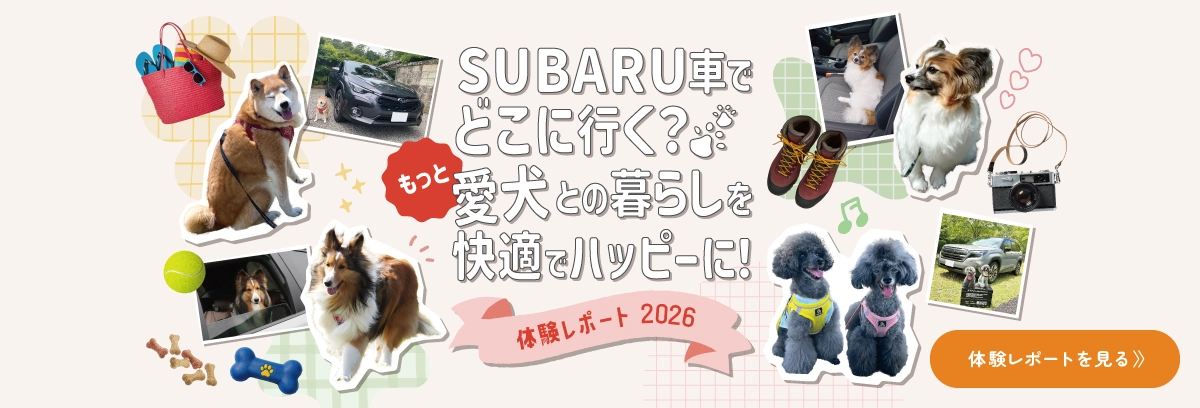 SUBARU車でどこに行く？愛犬との暮らしをもっと快適でハッピーに！10days体験レポート