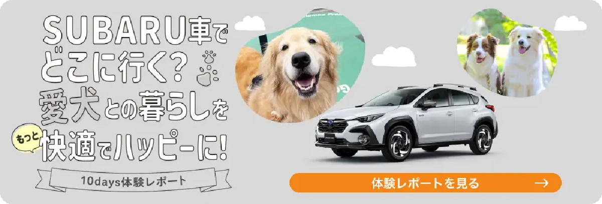 SUBARU車でどこに行く？愛犬との暮らしをもっと快適でハッピーに！10days体験レポート