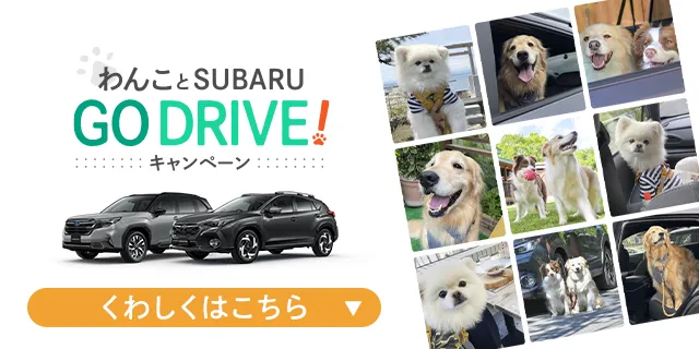わんことSUBARU GO DRIVE!キャンペーン