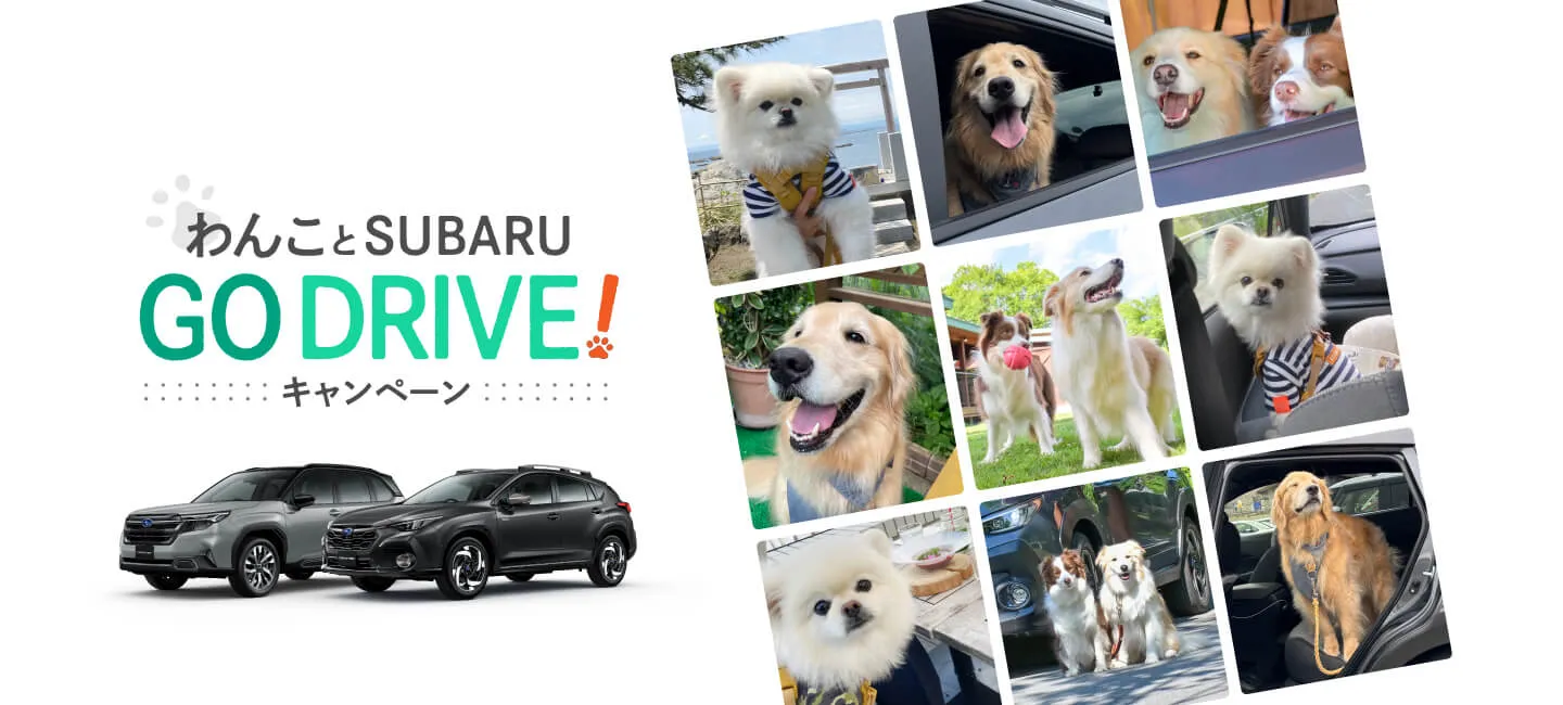 わんことSUBARU GO DRIVE!キャンペーン
