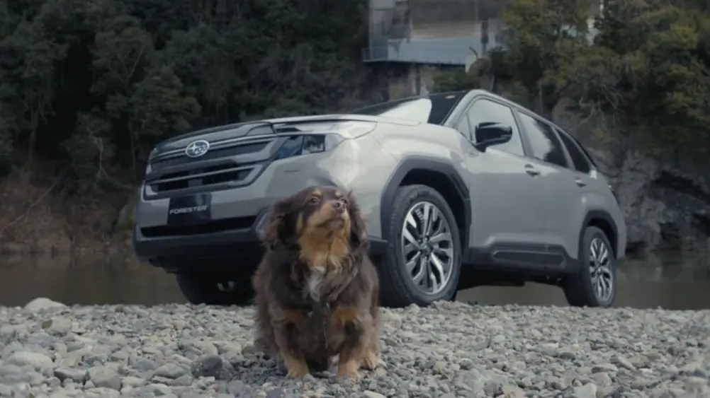 愛犬とお出かけするSUBARUの動画