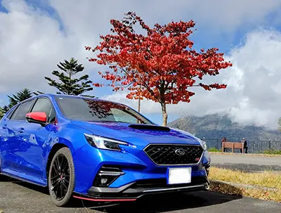 やっさんランナーさんの投稿