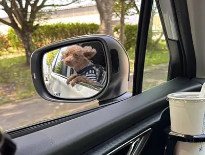 nakahideさんの投稿