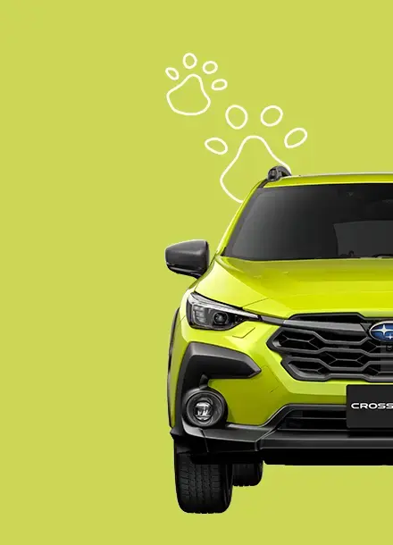 愛犬とお出かけするならSUBARU