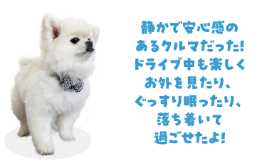 静かで安心感のあるクルマだった！ドライブ中も楽しくお外を見たり、ぐっすり眠ったり、落ち着いて過ごせたよ！