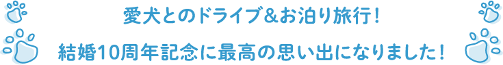 愛犬とのドライブ&お泊り旅行！結婚10周年記念に最高の思い出になりました！