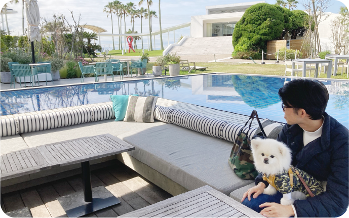 MALIBU HOTELのソファに座るハクくん