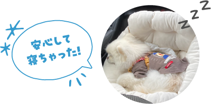 安心して寝ちゃった！