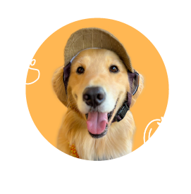 今回お出かけしたポルカちゃん