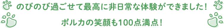 のびのび過ごせて最高に非日常な体験ができました！ポルカの笑顔も100点満点！