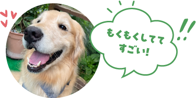 もくもくしててすごい！
