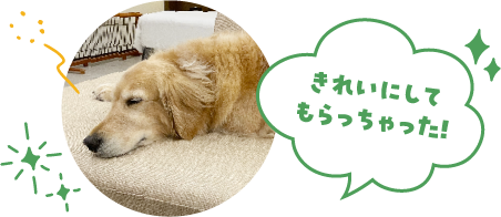 きれいにしてもらっちゃった！