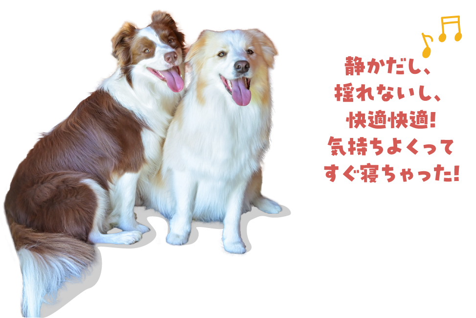 静かだし、揺れないし、快適快適！気持ちよくってすぐ寝ちゃった！