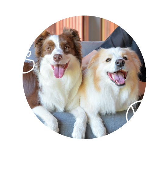 今回お出かけしたルナちゃんとアリスちゃん