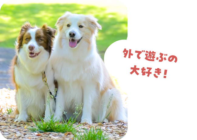 外で遊ぶのが好きなルナちゃんとアリスちゃん