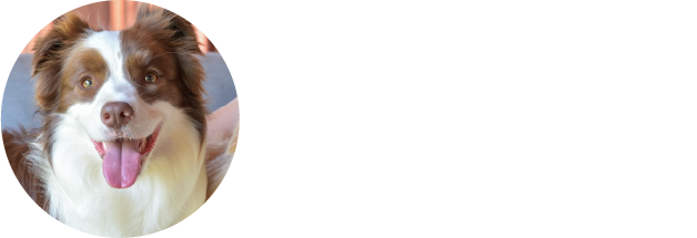 ボール遊びが好きな4歳の女の子　ルナちゃん