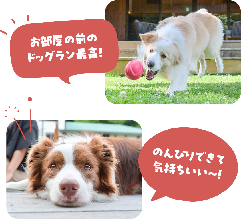 アリスちゃん「お部屋の前のドッグラン最高！」ルナちゃん「のんびりできて気持ちいい〜！」