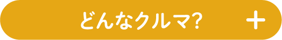どんなクルマ？