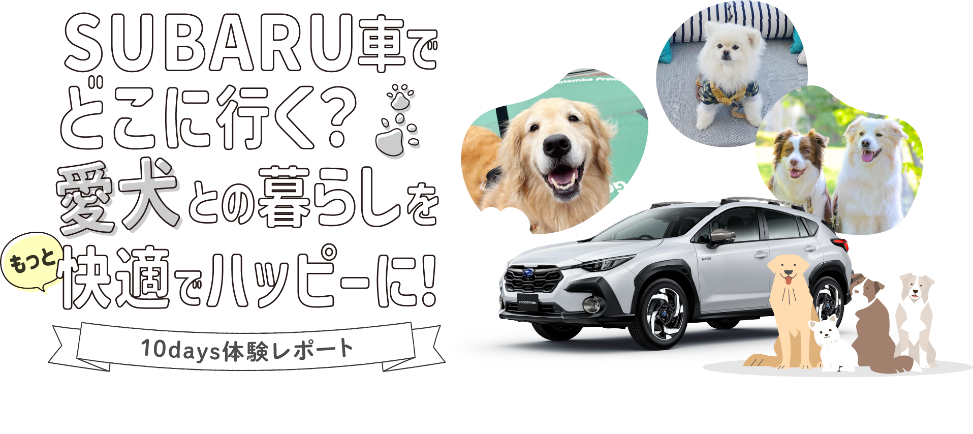 SUBARU車でどこに行く？愛犬との暮らしをもっと快適でハッピーに！