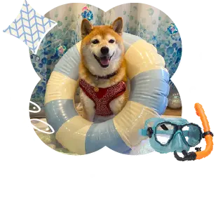 今回お出かけしたまるちゃん