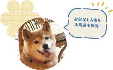 お部屋もお庭もお風呂も最高！