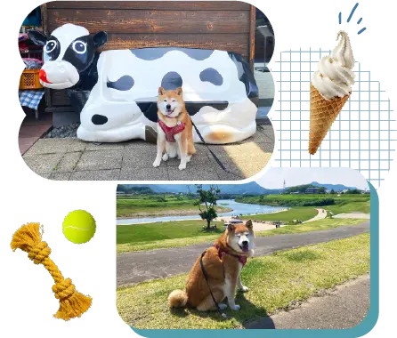「伊豆ゲートウェイ函南」をお散歩するまるちゃん