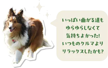 いっぱい曲がる道もゆらゆらしなくて気持ちよかった！いつものクルマよりリラックスしたかも？