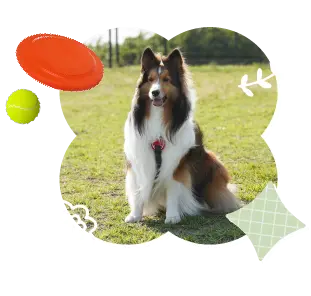 今回お出かけしたクーちゃん