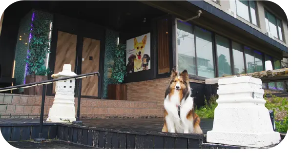 「箱根強羅グアムドッグ本店」で記念撮影するクーちゃん