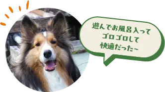 遊んでお風呂入ってゴロゴロして快適だった〜