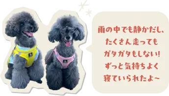雨の中でも静かだし、たくさん走ってもガタガタもしない！ずっと気持ちよく寝ていられたよ〜