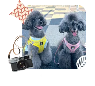 今回お出かけしたバジルちゃんとりえるちゃん