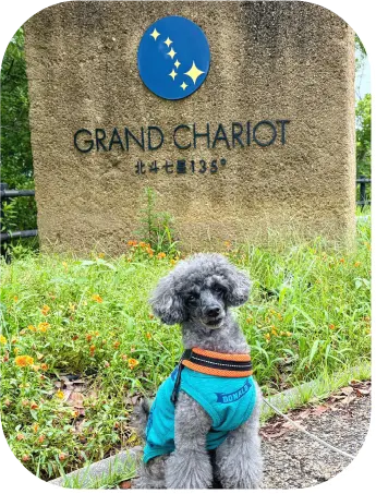 「GRAND CHARIOT 北斗七星135°」で記念撮影するバジルちゃん