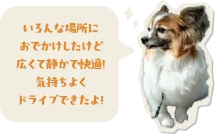 いろんな場所におでかけしたけど広くて静かで快適！気持ちよくドライブできたよ！