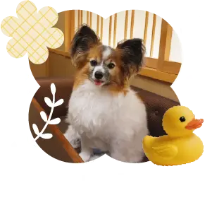 今回お出かけしたルカちゃん