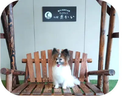 「ドッグヴィラ別邸あかい」で記念撮影するルカちゃん