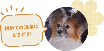 初めての温泉にどきどき！