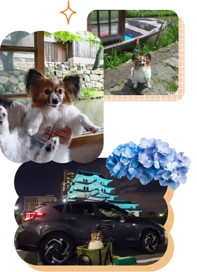近江八幡堀を満喫するルカちゃん
